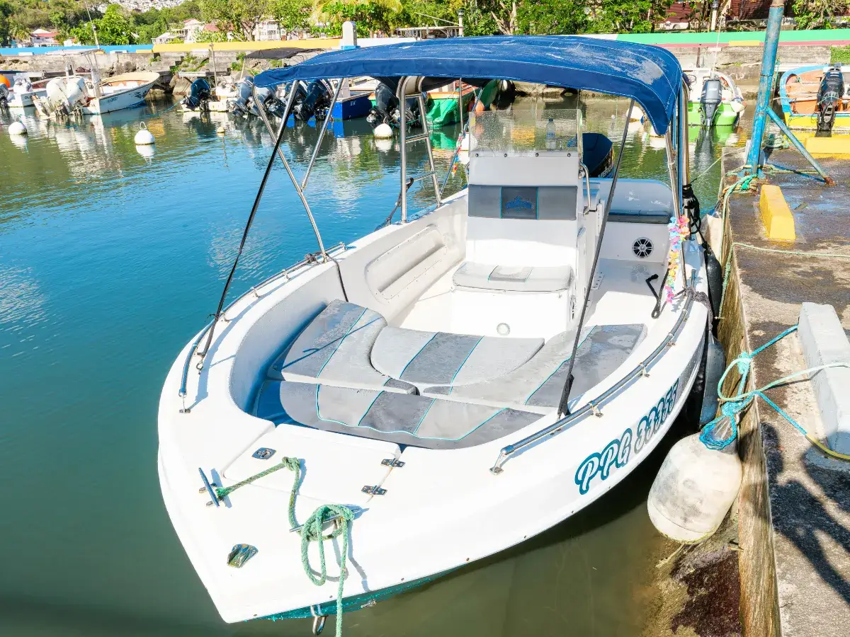 A view of the boat